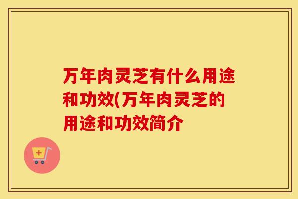 万年肉灵芝有什么用途和功效(万年肉灵芝的用途和功效简介