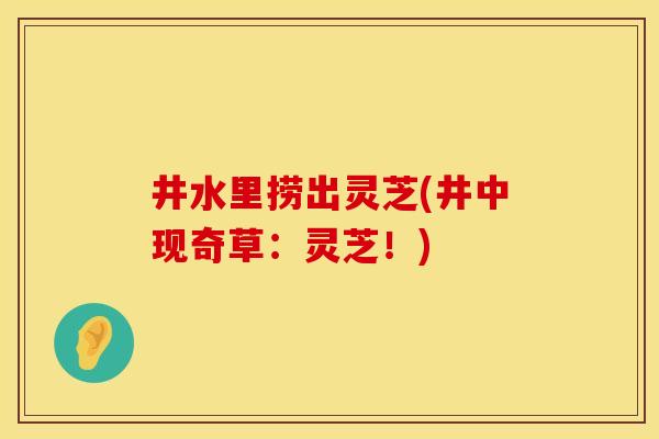井水里捞出灵芝(井中现奇草:灵芝!)