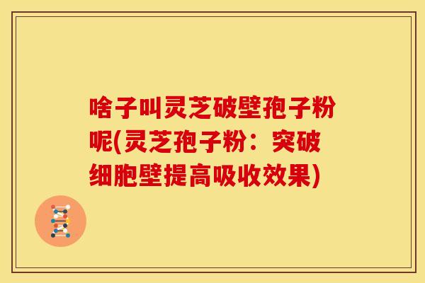 啥子叫灵芝破壁孢子粉呢(灵芝孢子粉:突破细胞壁提高吸收效果)