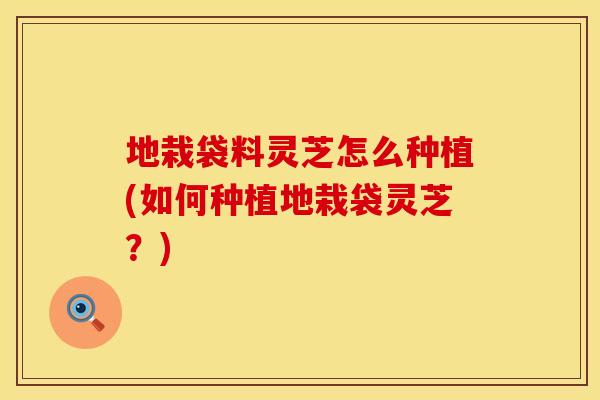 地栽袋料灵芝怎么种植(如何种植地栽袋灵芝？)