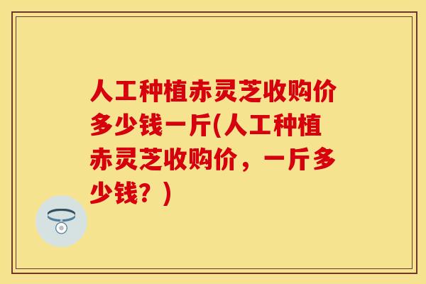 人工种植赤灵芝收购价多少钱一斤(人工种植赤灵芝收购价,一斤多少钱?)