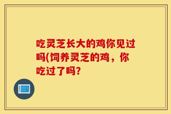 吃灵芝长大的鸡你见过吗(饲养灵芝的鸡,你吃过了吗?