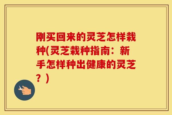 刚买回来的灵芝怎样栽种(灵芝栽种指南：新手怎样种出健康的灵芝？)