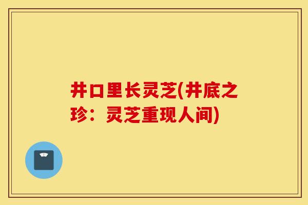 井口里长灵芝(井底之珍:灵芝重现人间)