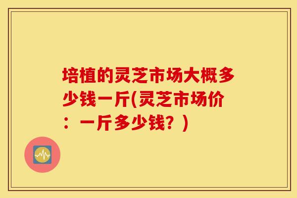 培植的灵芝市场大概多少钱一斤(灵芝市场价：一斤多少钱？)