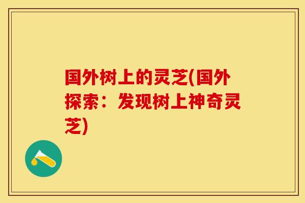 国外树上的灵芝(国外探索：发现树上神奇灵芝)