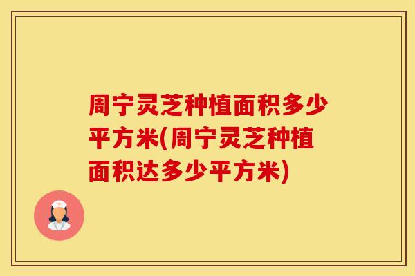 周宁灵芝种植面积多少平方米(周宁灵芝种植面积达多少平方米)