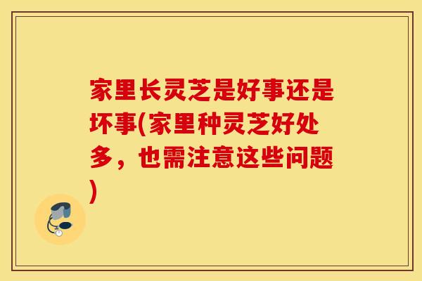 家里长灵芝是好事还是坏事(家里种灵芝好处多，也需注意这些问题)