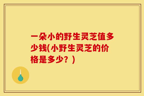 一朵小的野生灵芝值多少钱(小野生灵芝的价格是多少?)