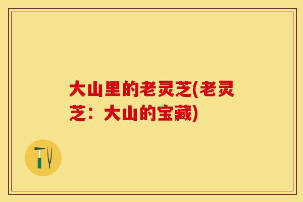 大山里的老灵芝(老灵芝:大山的宝藏)