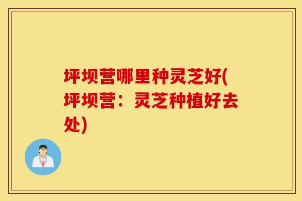 坪坝营哪里种灵芝好(坪坝营:灵芝种植好去处)