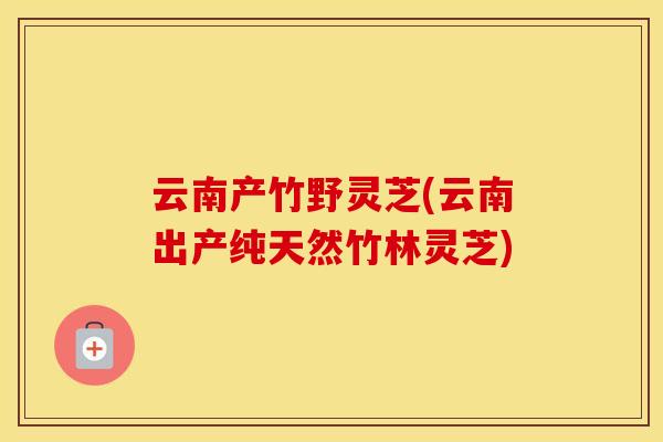 云南产竹野灵芝(云南出产纯天然竹林灵芝)