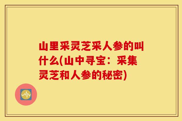 山里采灵芝采人参的叫什么(山中寻宝：采集灵芝和人参的秘密)