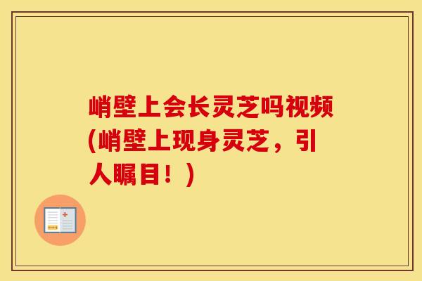峭壁上会长灵芝吗视频(峭壁上现身灵芝，引人瞩目！)