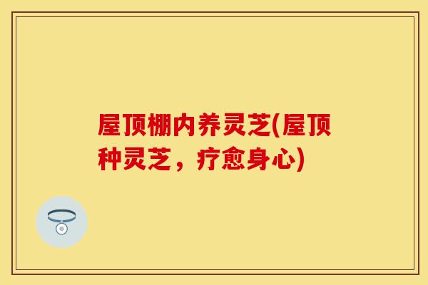 屋顶棚内养灵芝(屋顶种灵芝，疗愈身心)