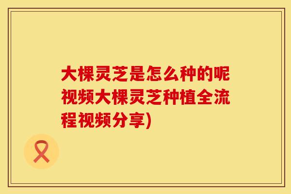 大棵灵芝是怎么种的呢视频大棵灵芝种植全流程视频分享)