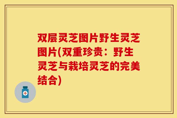 双层灵芝图片野生灵芝图片(双重珍贵:野生灵芝与栽培灵芝的完美结合)