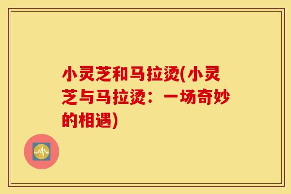 小灵芝和马拉烫(小灵芝与马拉烫：一场奇妙的相遇)