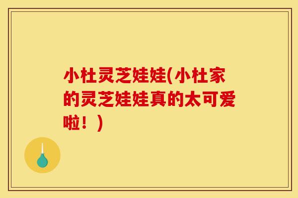 小杜灵芝娃娃(小杜家的灵芝娃娃真的太可爱啦!)