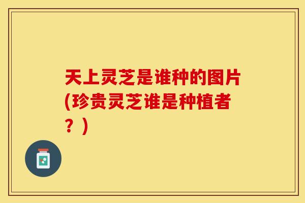 天上灵芝是谁种的图片(珍贵灵芝谁是种植者？)
