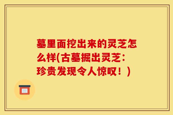 墓里面挖出来的灵芝怎么样(古墓掘出灵芝：珍贵发现令人惊叹！)
