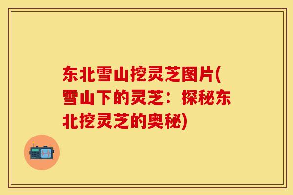 东北雪山挖灵芝图片(雪山下的灵芝：探秘东北挖灵芝的奥秘)