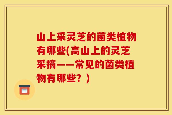 山上采灵芝的菌类植物有哪些(高山上的灵芝采摘——常见的菌类植物有哪些?)