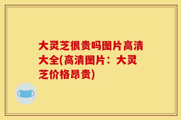 大灵芝很贵吗图片高清大全(高清图片:大灵芝价格昂贵)