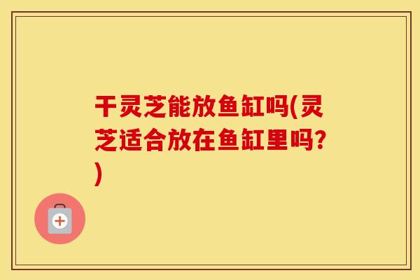 干灵芝能放鱼缸吗(灵芝适合放在鱼缸里吗?)