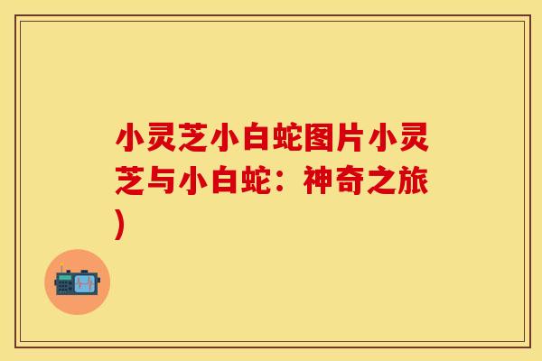 小灵芝小白蛇图片小灵芝与小白蛇：神奇之旅)