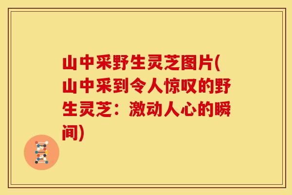 山中采野生灵芝图片(山中采到令人惊叹的野生灵芝:激动人心的瞬间)