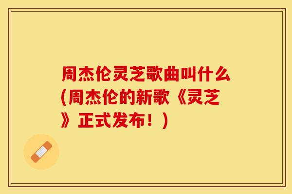 周杰伦灵芝歌曲叫什么(周杰伦的新歌《灵芝》正式发布!)