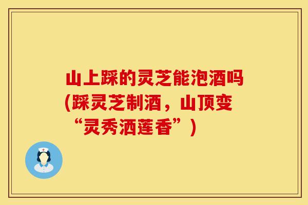 山上踩的灵芝能泡酒吗(踩灵芝制酒,山顶变“灵秀洒莲香”)