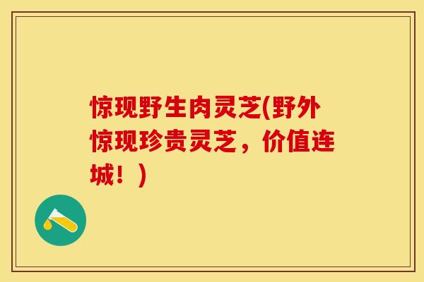 惊现野生肉灵芝(野外惊现珍贵灵芝，价值连城！)