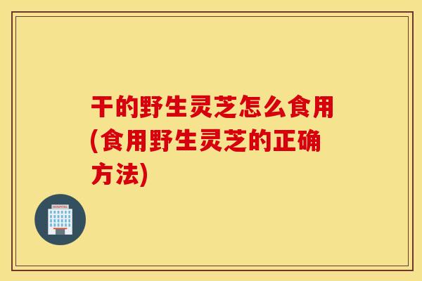 干的野生灵芝怎么食用(食用野生灵芝的正确方法)