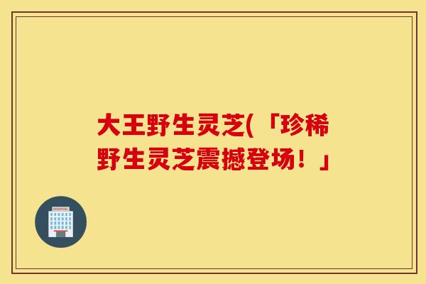 大王野生灵芝(「珍稀野生灵芝震撼登场!」