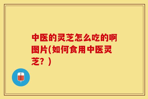 中医的灵芝怎么吃的啊图片(如何食用中医灵芝?)