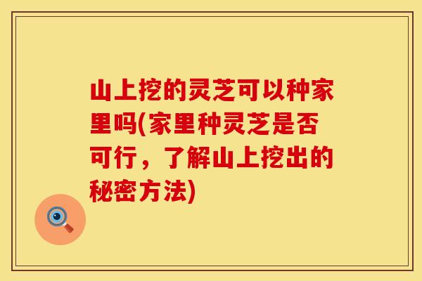 山上挖的灵芝可以种家里吗(家里种灵芝是否可行,了解山上挖出的秘密方法)