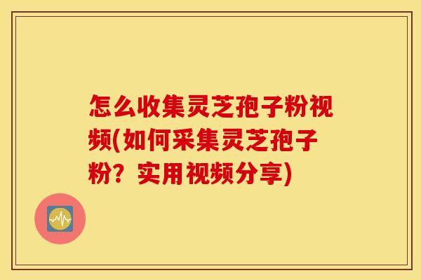 怎么收集灵芝孢子粉视频(如何采集灵芝孢子粉?实用视频分享)