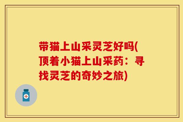 带猫上山采灵芝好吗(顶着小猫上山采药:寻找灵芝的奇妙之旅)