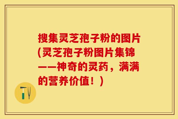 搜集灵芝孢子粉的图片(灵芝孢子粉图片集锦——神奇的灵药，满满的营养价值！)