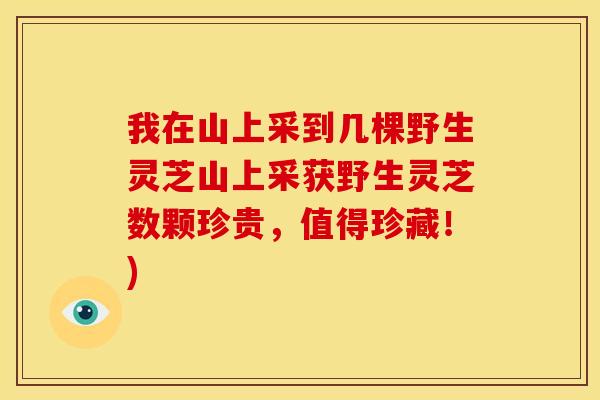 我在山上采到几棵野生灵芝山上采获野生灵芝数颗珍贵，值得珍藏！)