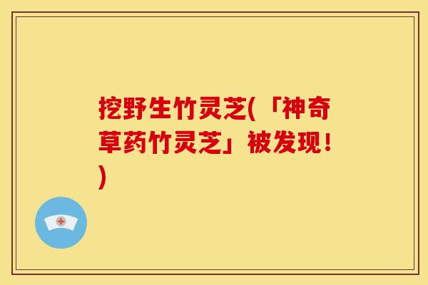 挖野生竹灵芝(「神奇草药竹灵芝」被发现!)