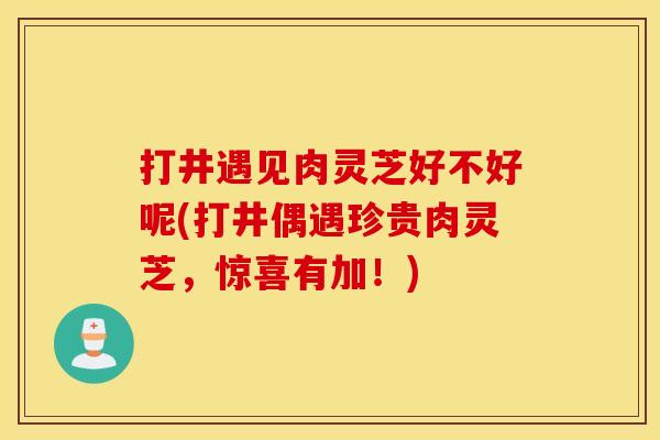打井遇见肉灵芝好不好呢(打井偶遇珍贵肉灵芝,惊喜有加!)