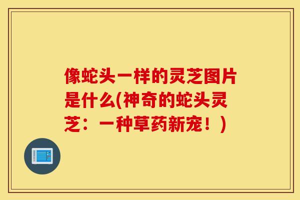 像蛇头一样的灵芝图片是什么(神奇的蛇头灵芝：一种草药新宠！)