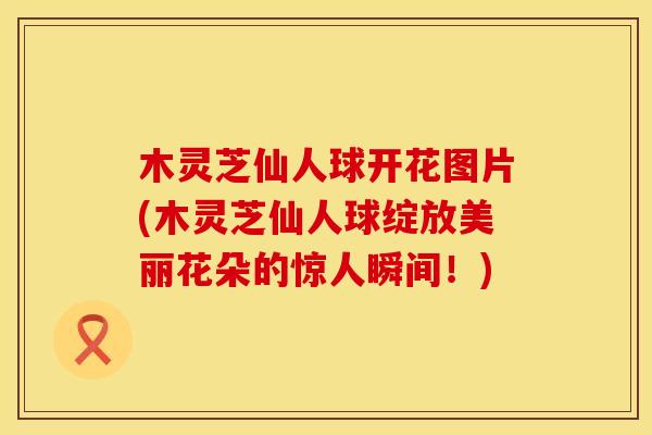 木灵芝仙人球开花图片(木灵芝仙人球绽放美丽花朵的惊人瞬间！)