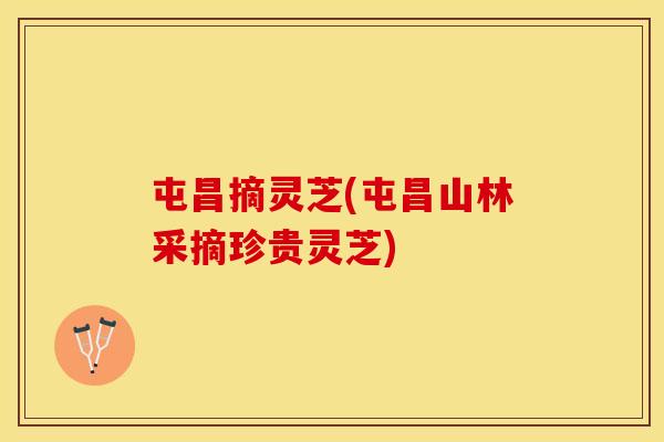 屯昌摘灵芝(屯昌山林采摘珍贵灵芝)