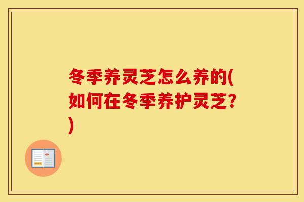冬季养灵芝怎么养的(如何在冬季养护灵芝？)
