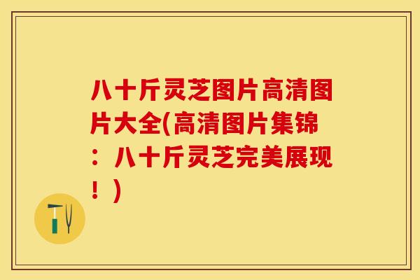 八十斤灵芝图片高清图片大全(高清图片集锦:八十斤灵芝完美展现!)