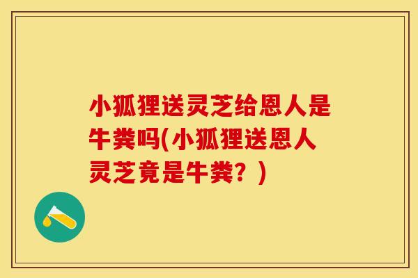 小狐狸送灵芝给恩人是牛粪吗(小狐狸送恩人灵芝竟是牛粪？)
